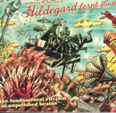 Hildegard lernt Fliegen - The Fundamental Rhythm of Unpolished Brains